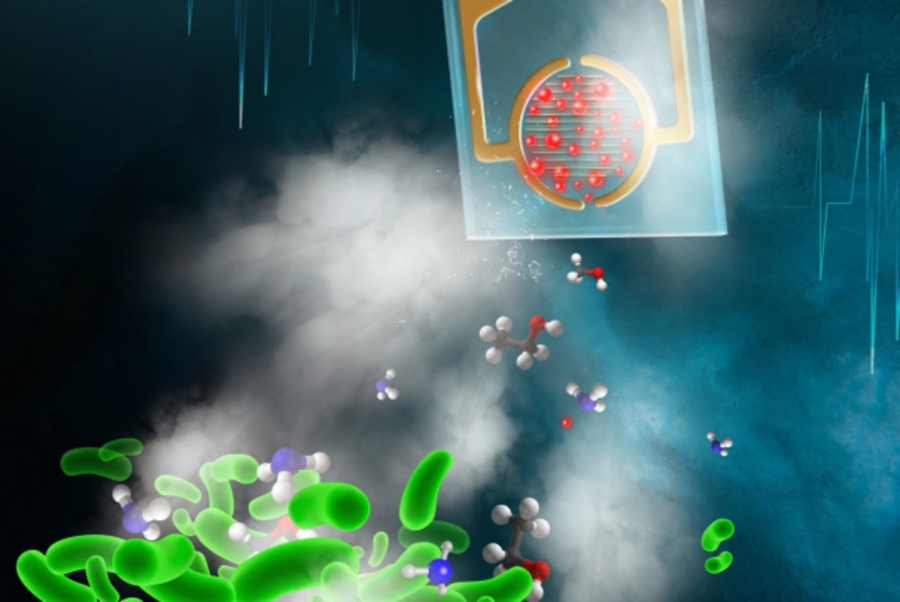 Nas artificial capabil să ''miroasă'' bacterii