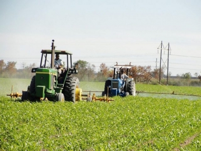 Este nevoie de reforme majore în agricultură pentru combaterea modificărilor climatice