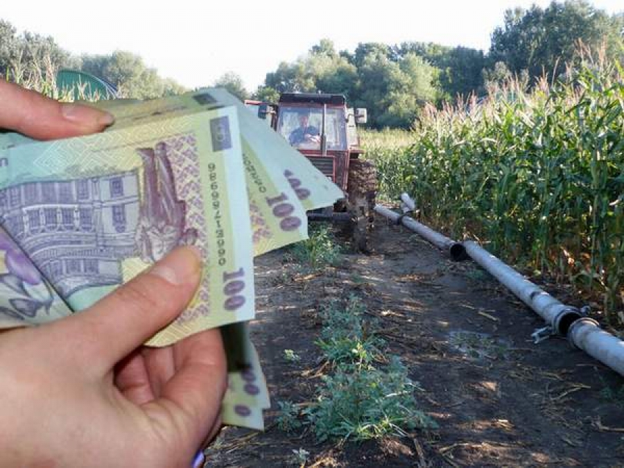 Importuri de cereale din Republica Moldova cu facturi false şi plăţi fictive
