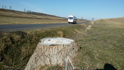 CNADNR a „chelit” marginea drumului