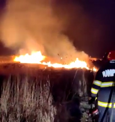 15 incendii de vegetaţie în judeţul Brăila, în ultimele trei zile (VIDEO)