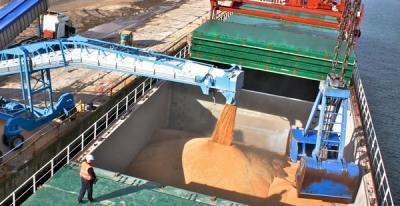 Egiptul a cumpărat 240.000 de tone de grâu din Franţa, România şi Rusia