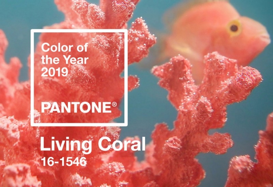 Living Coral a fost aleasă de Pantone drept culoarea anului 2019