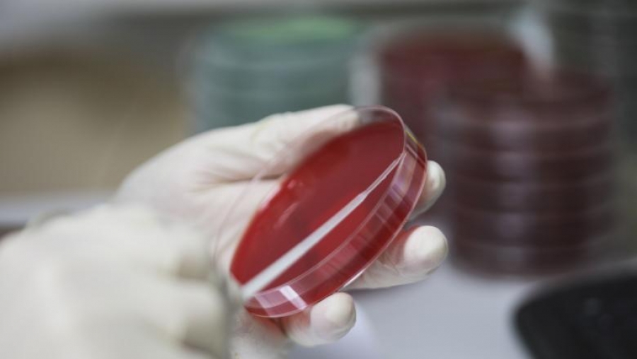 La Galaţi, noul tratament cu plasmă pentru COVID-2019 nu este încă accesibil