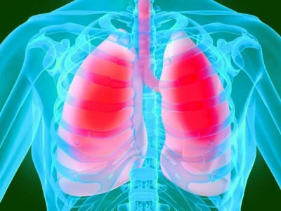 Plămânii pot „detecta” anumite mirosuri toxice, pentru a se proteja apoi prin constricţie