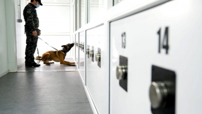 Câinii poliţişti vor depista persoanele cu Covid-19 pe aeroport