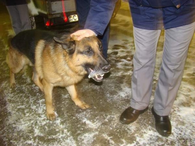 În doar 30 de minute, au fost descoperite 26.000 de ţigarete de contrabandă