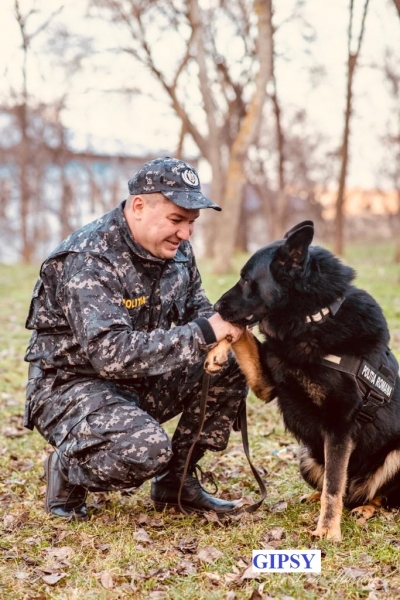 Patru câini polițiști brăileni "predau ștafeta" (VIDEO)