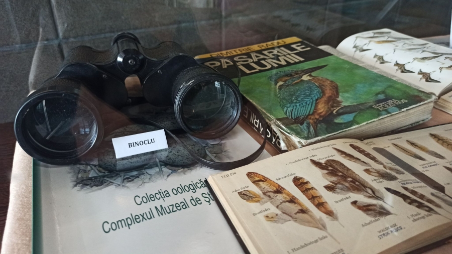 "Lumea colecţionarilor de natură", o nouă expoziţie la Complexul Muzeal Galaţi