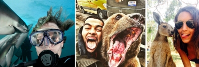 Numărul de selfie-uri cu animale sălbatice publicate pe Instagram a crescut ''îngrijorător''