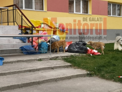 Morman de deşeuri potenţial contaminate, în faţa unui centru de carantină din Galaţi (FOTO/VIDEO)