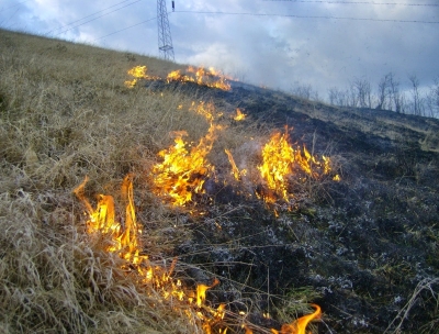 Arderea vegetaţiei este STRICT INTERZISĂ! Amenzi de până la 60.000 lei sau chiar închisoare