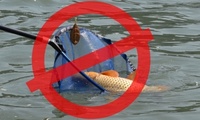 A început prohibiţia: Pescarii gălăţeni şi-au pus undiţa în cui până pe 9 iunie