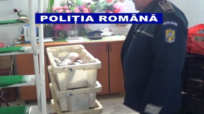 Peşte confiscat din Piaţa Mare