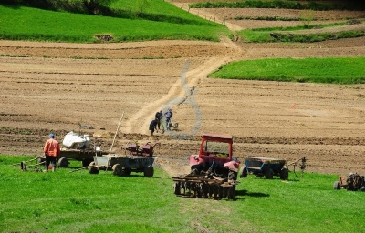 Plăţi directe pentru tinerii fermieri pe hectar în 2018