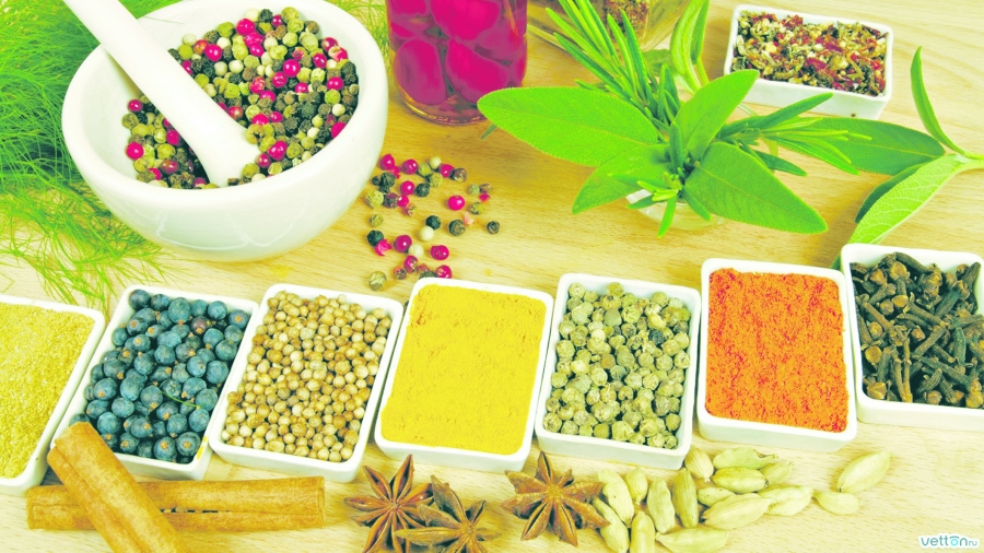 Terapia prin dieta ayurvedică