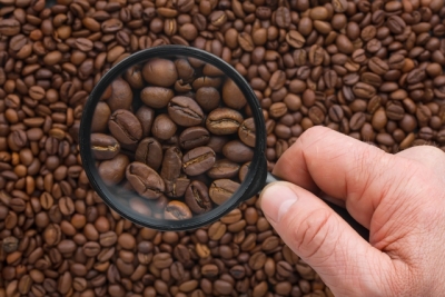 Un studiu pe şoareci a dovedit proprietăţile de slăbire ale cafeinei