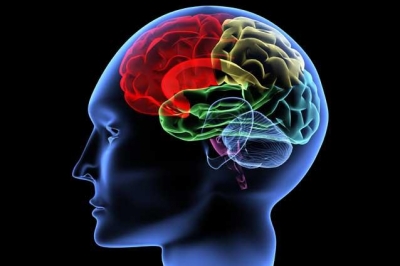 Infarctele şi accidentele vasculare cerebrale sunt mai frecvente în ianuarie