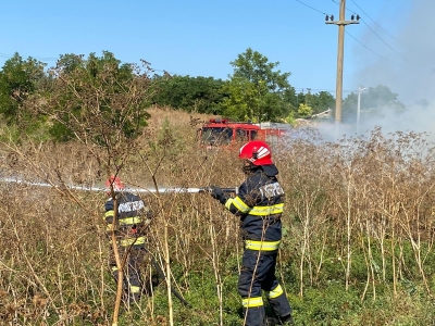 6 incendii vegetaţie, într-o singură zi, la Tulcea