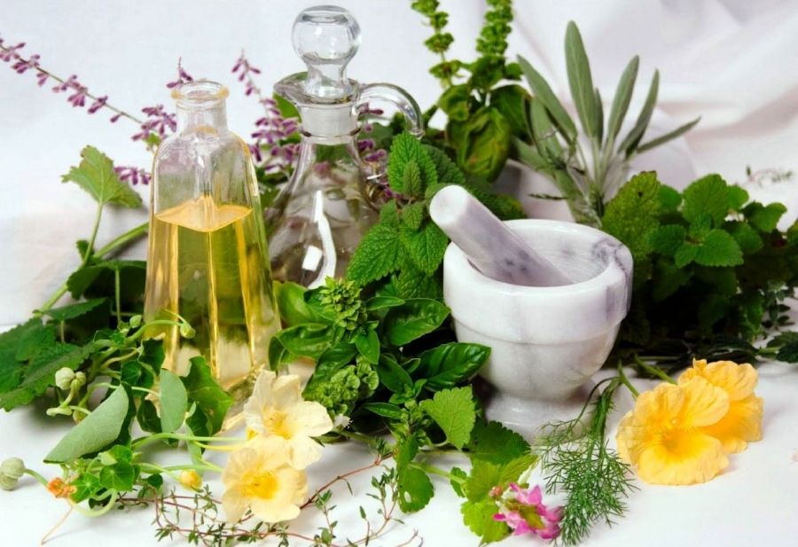 Peste 28.000 de specii de plante au proprietăţi medicinale