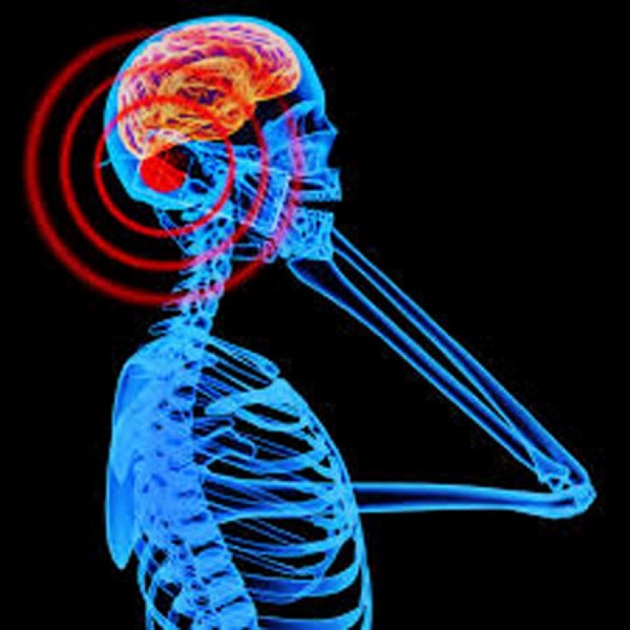 Studiu efectuat la Facultatea de Ştiinţe şi Mediu Galaţi: Radiaţiile radio produse de telefonul mobil pătrund mai uşor în creierul copiilor