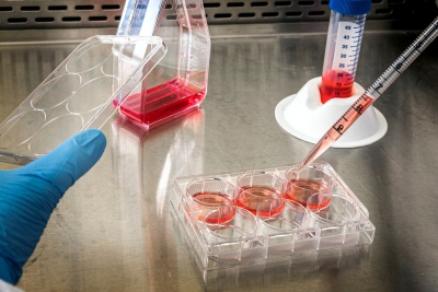 Coronavirus: Majoritatea persoanelor au anticorpi şi la şase luni după infectare