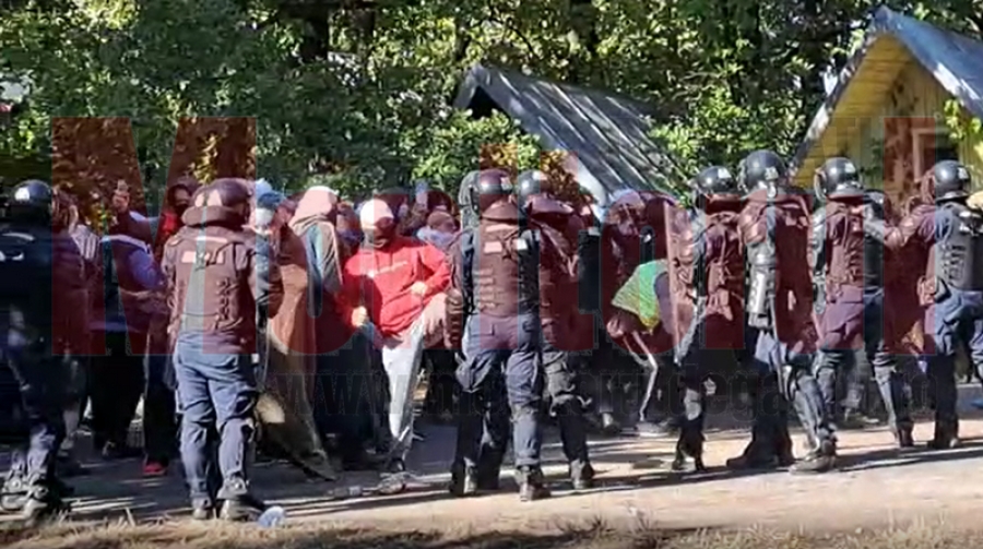 VIDEO: Aflux masiv de migranţi la Galaţi. Peste 200 de jandarmi gălăţeni şi carabinieri din Republica Moldova, intervenţie-exerciţiu în Pădurea Gârboavele