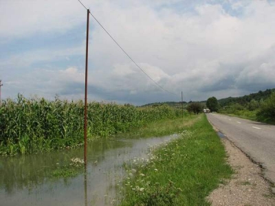 Inundaţiile, seceta şi embargoul, nenorocirile care s-au abătut asupra agriculturii româneşti