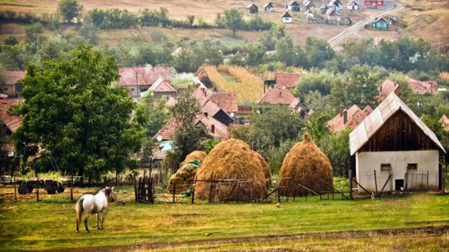 Modificări importante aduse Legii cooperaţiei agricole