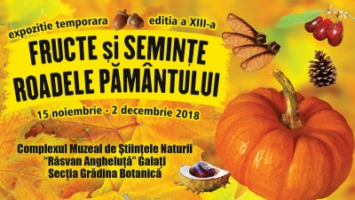 Planta care curăţă privirea, vedeta expoziţiei "Fructe şi seminţe - Roadele Pământului"