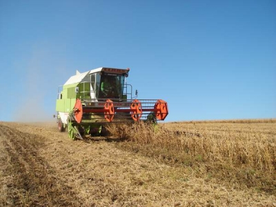 CE a extins ajutoarele pentru agricultorii europeni, în urma embargoului rus