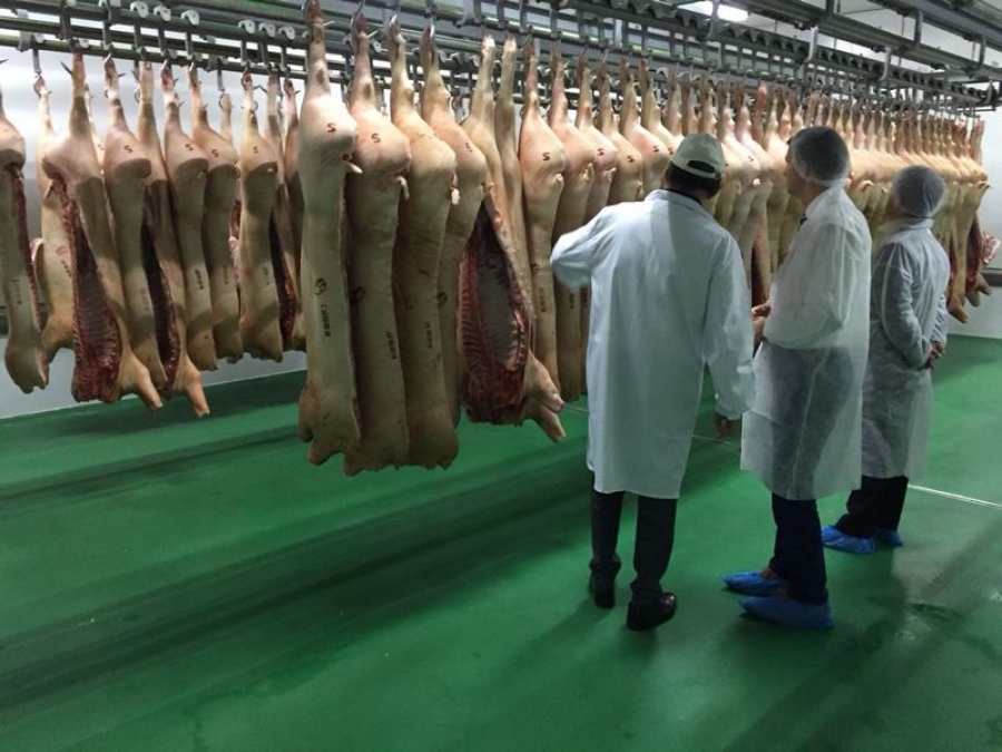 Deputatul european Siegfried Mureşan (PNL / PPE): "Guvernul încă nu îndeplineşte condiţiile pentru ca fondurile europene să ajungă la fermierii afectaţi de pesta porcină"