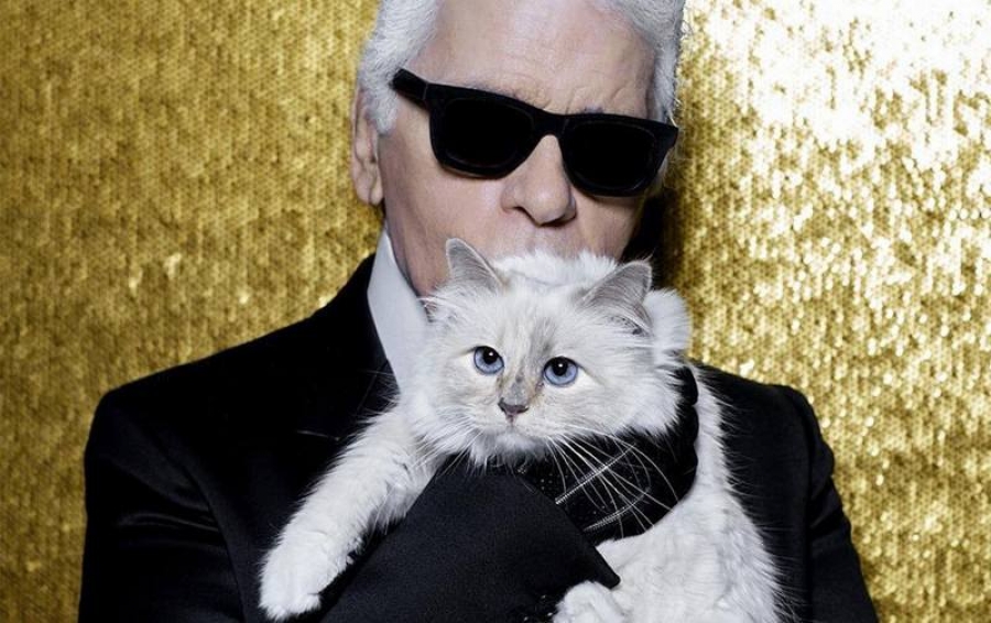 Pisica Choupette, desemnată moştenitoarea lui Karl Lagerfeld
