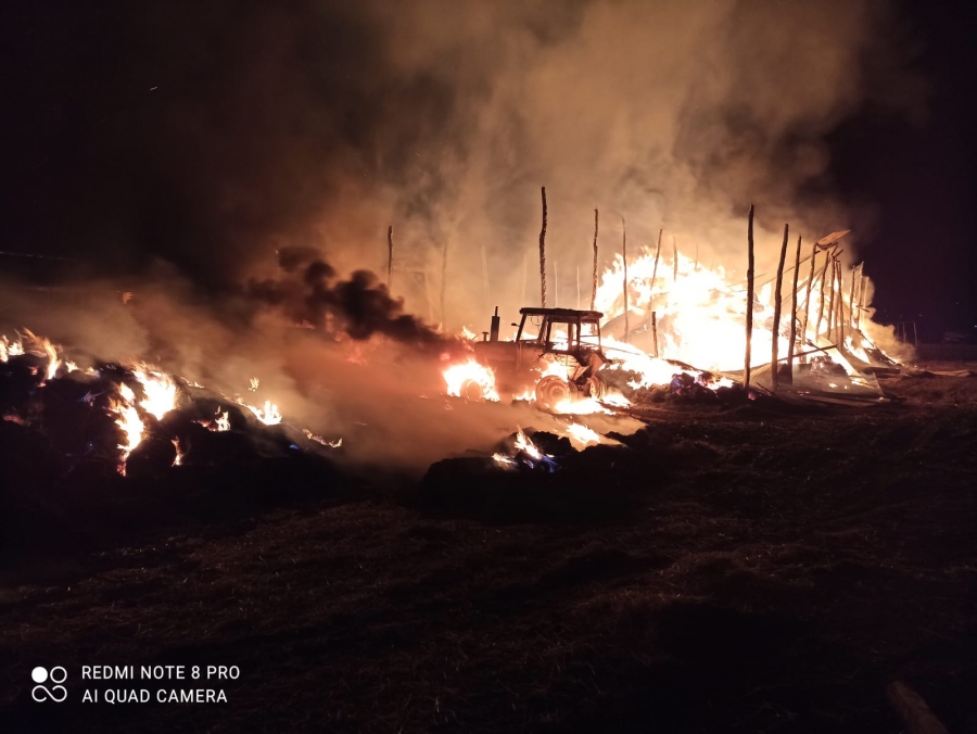 Incendiu la un saivan de animale şi nutreţ din Fârţăneşti (VIDEO)