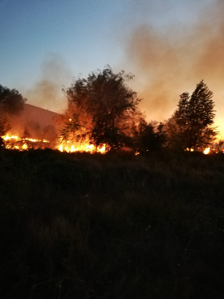 Incendiu de proporţii la Tulcea: A ars un hectar de vegetaţie uscată (VIDEO)
