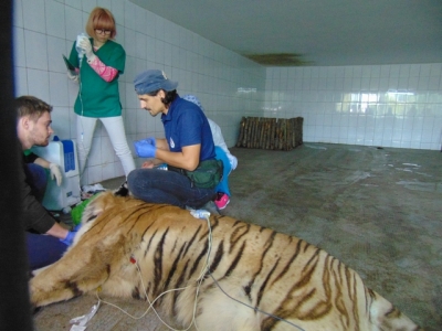 Premieră medicală la Grădina Zoo Galati