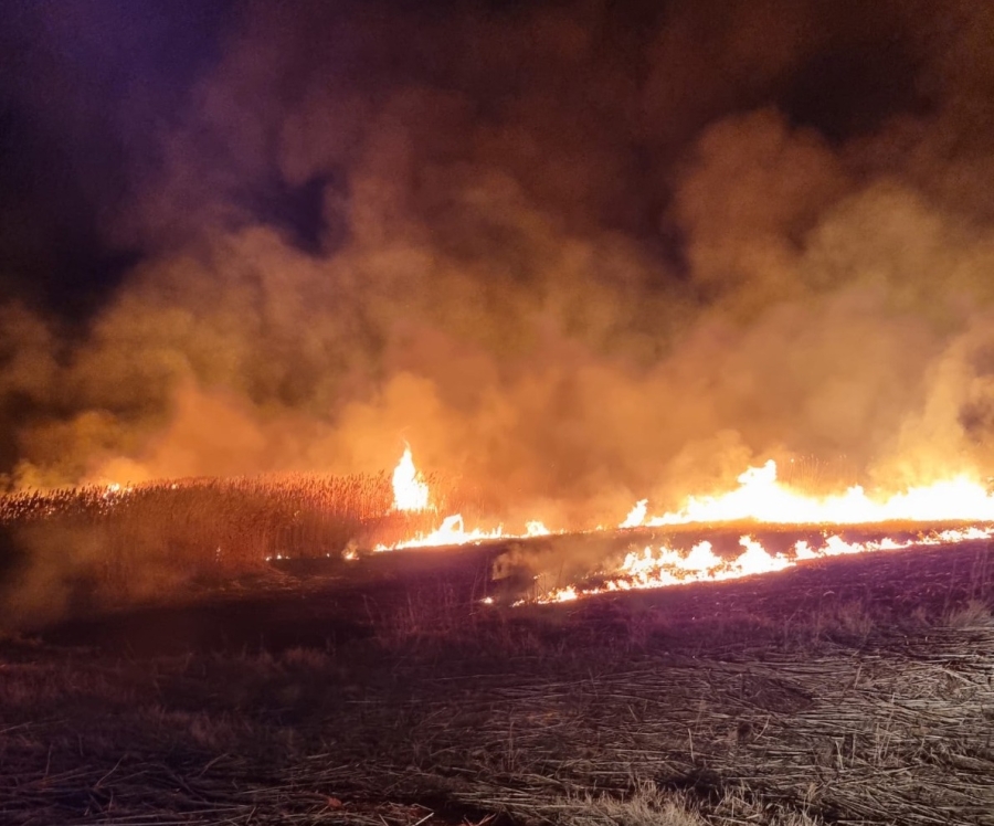 Incendiile de vegetaţie uscată au început să ia amploare o dată cu topirea zăpezilor, în judeţul Tulcea