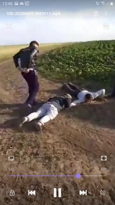 Au furat vitele consătenilor şi au fost prinşi în direct (VIDEO)