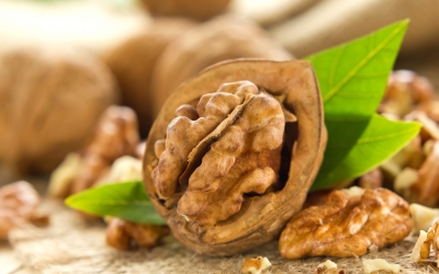 Nucile susţin sănătatea microflorei intestinale acţionând ca un prebiotic