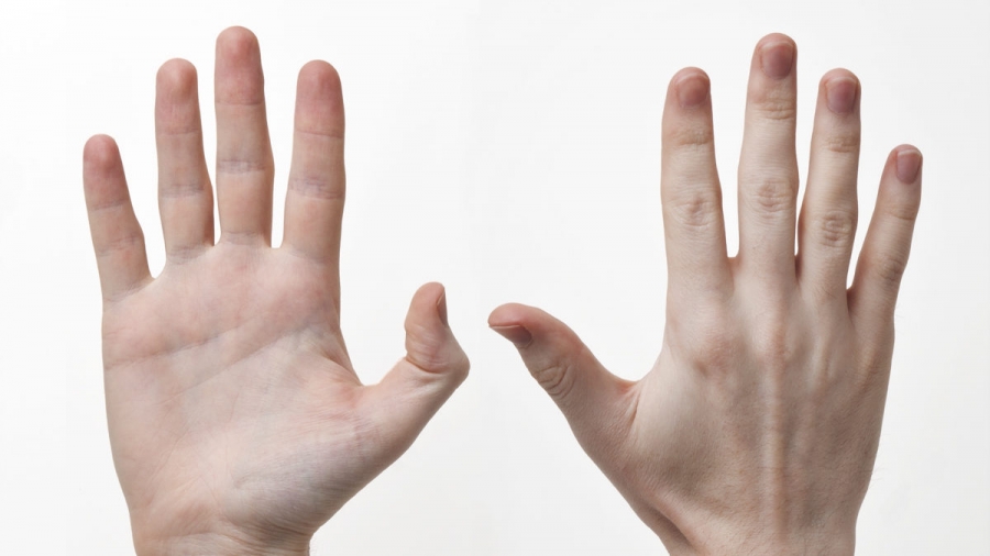 Lungimea anumitor degete ar putea oferi un indiciu cu privire la sexualitatea unei persoane