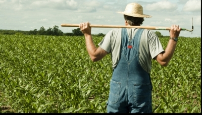 MADR încurajează înfiinţarea şi dezvoltarea formelor asociative în agricultură