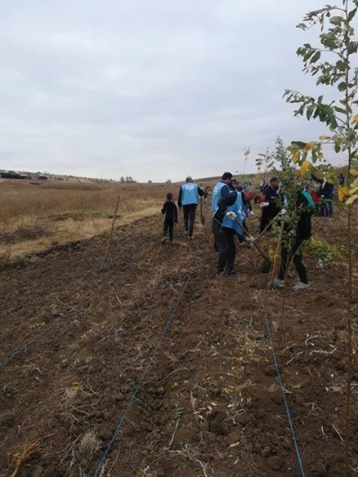 Voluntarii Damen Galaţi au plantat puieţi la Cuza Vodă