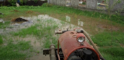 Tulcea: Patru gospodării inundate la Nufăru (VIDEO)