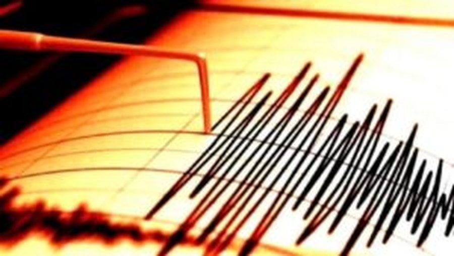 Cutremur cu magnitudinea 3,6 grade în zona seismică Vrancea