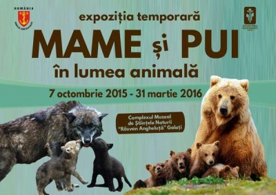 Expoziţie temporară: „Mame şi pui în lumea animală”