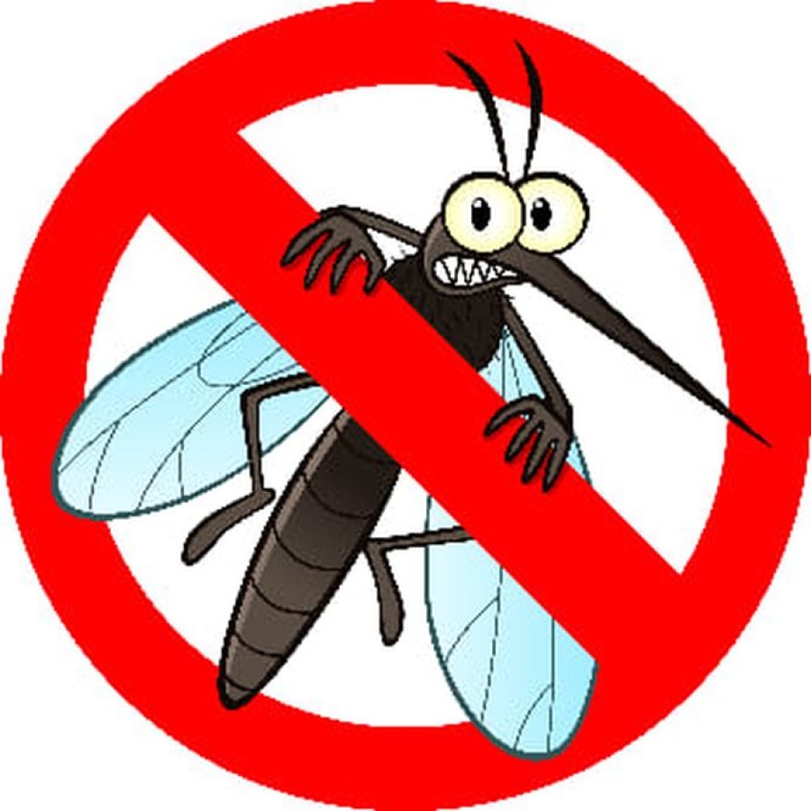 Joi, ţânţarii vor fi atacaţi din elicopter la Galaţi