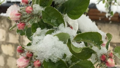 Catastrofele naturale provoacă anual pierderi de miliarde de dolari fermierilor