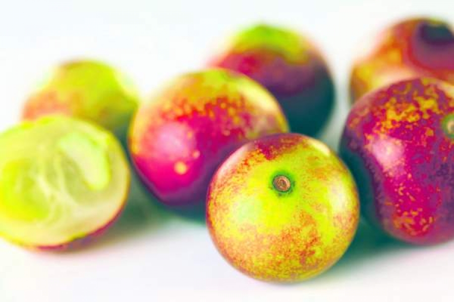 Camu-camu, fructul cel mai bogat în vitamina C de pe planetă