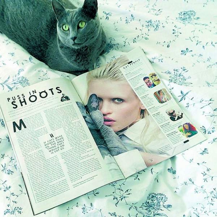 Prima revistă fashion dedicată pisicilor şi iubitorilor de feline, lansată la Londra