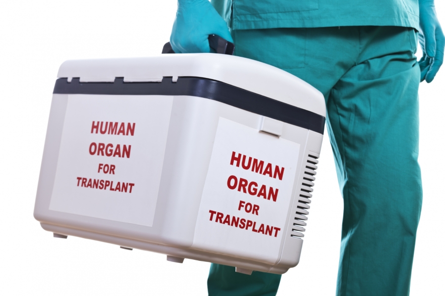 Nanotehnologia permite conservarea mai bună a organelor care vor fi transplantate